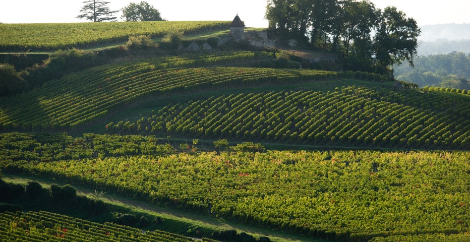 Jurisdiction of Saint-Emilion